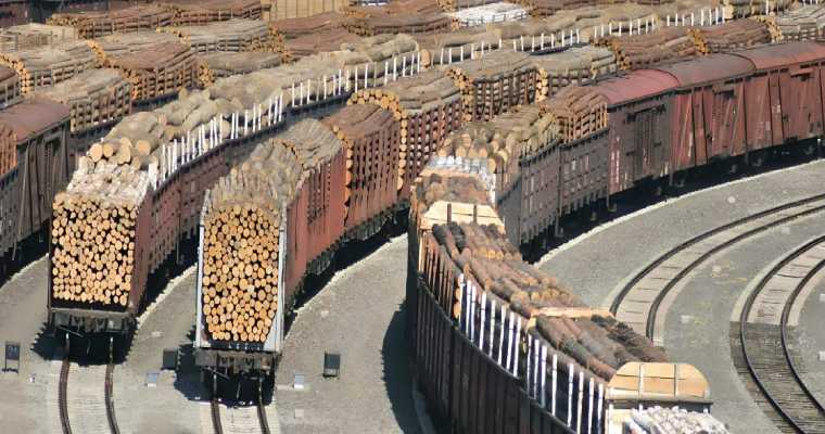 Vietnam to boost U.S. timber imports amid China’s suspension of U.S. wood shipments