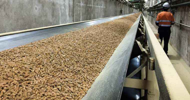US wood pellet exports show a double-digit increase in October
